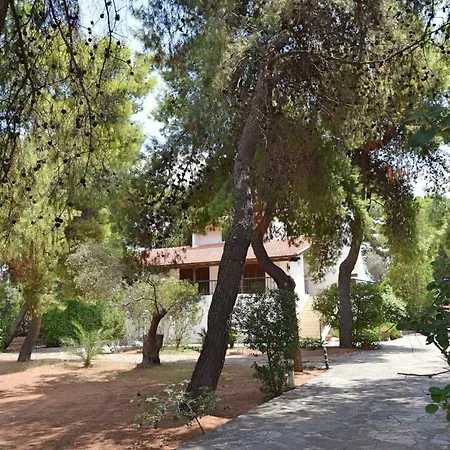 Seaside Villa In Alikes, Chalkida Drosia  Exterior photo