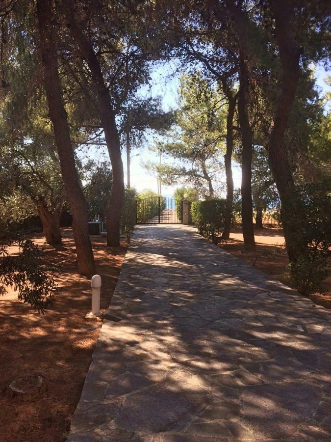 Villa Seaside In Alikes, Chalkida *