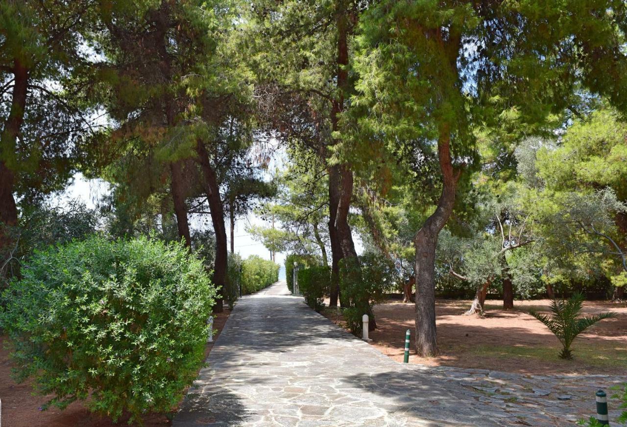 Seaside In Alikes, Chalkida Drosia (Central Greece)