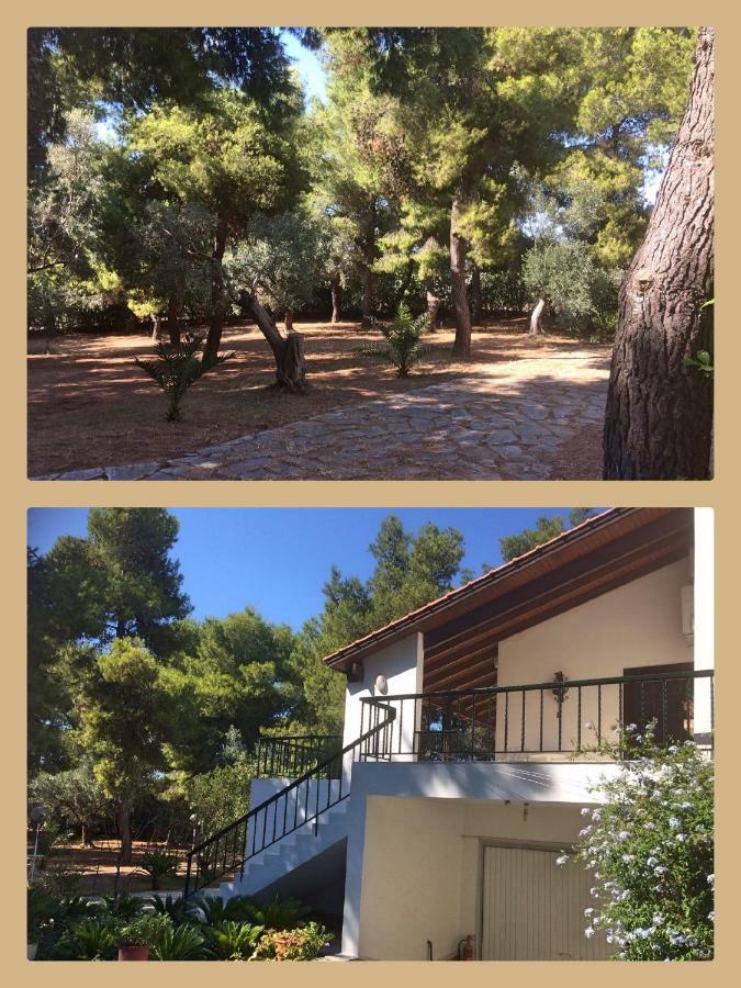 Villa Seaside In Alikes, Chalkida Drosia (Central Greece)