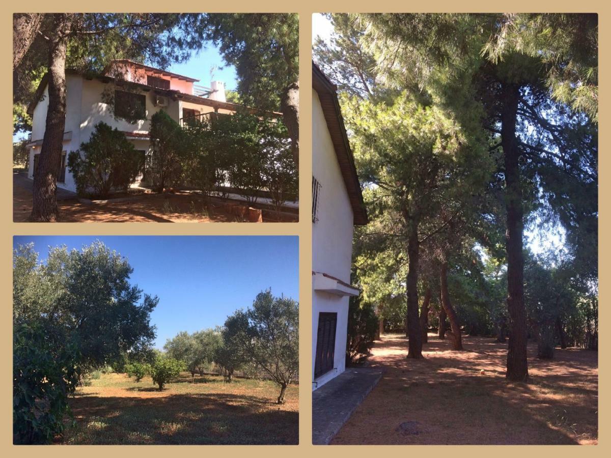 Villa Seaside In Alikes, Chalkida Drosia (Central Greece)