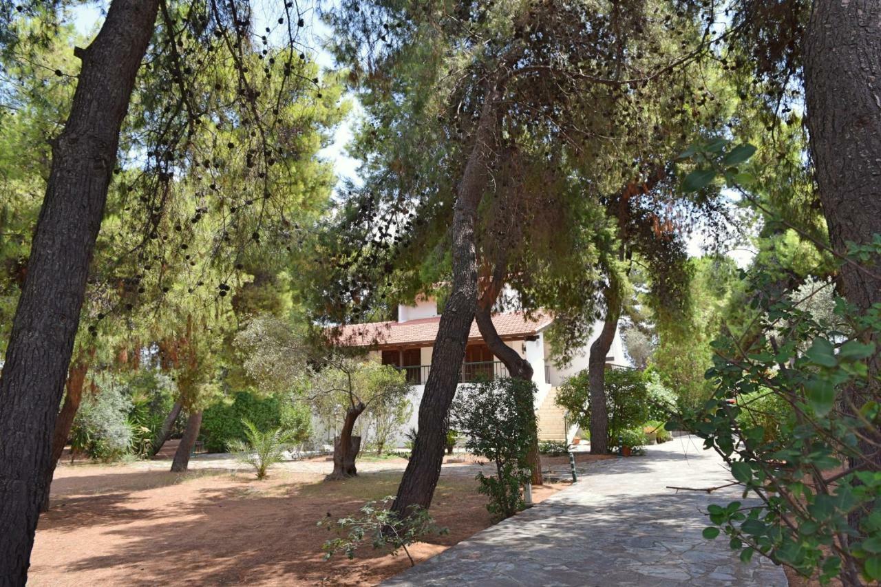 Villa Seaside In Alikes, Chalkida *