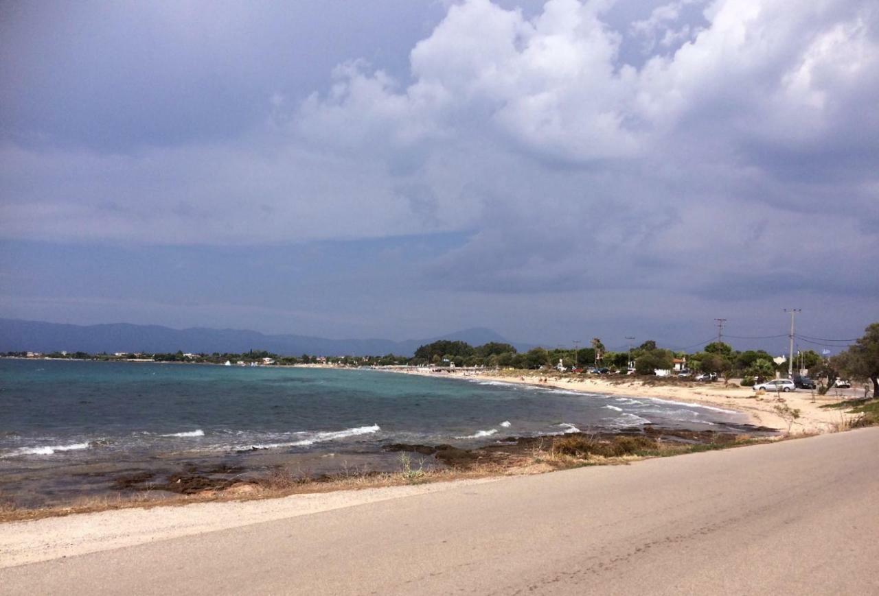 Seaside In Alikes, Chalkida * Drosia (Central Greece)