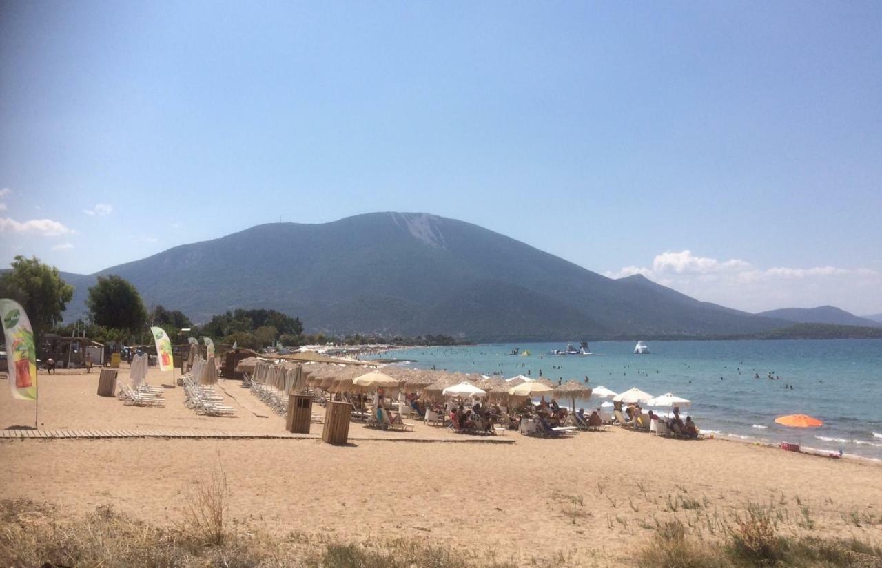 Seaside In Alikes, Chalkida Drosia (Central Greece)